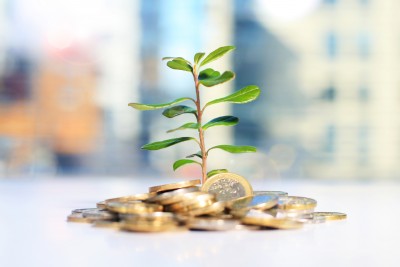 Сredit d’investissement international